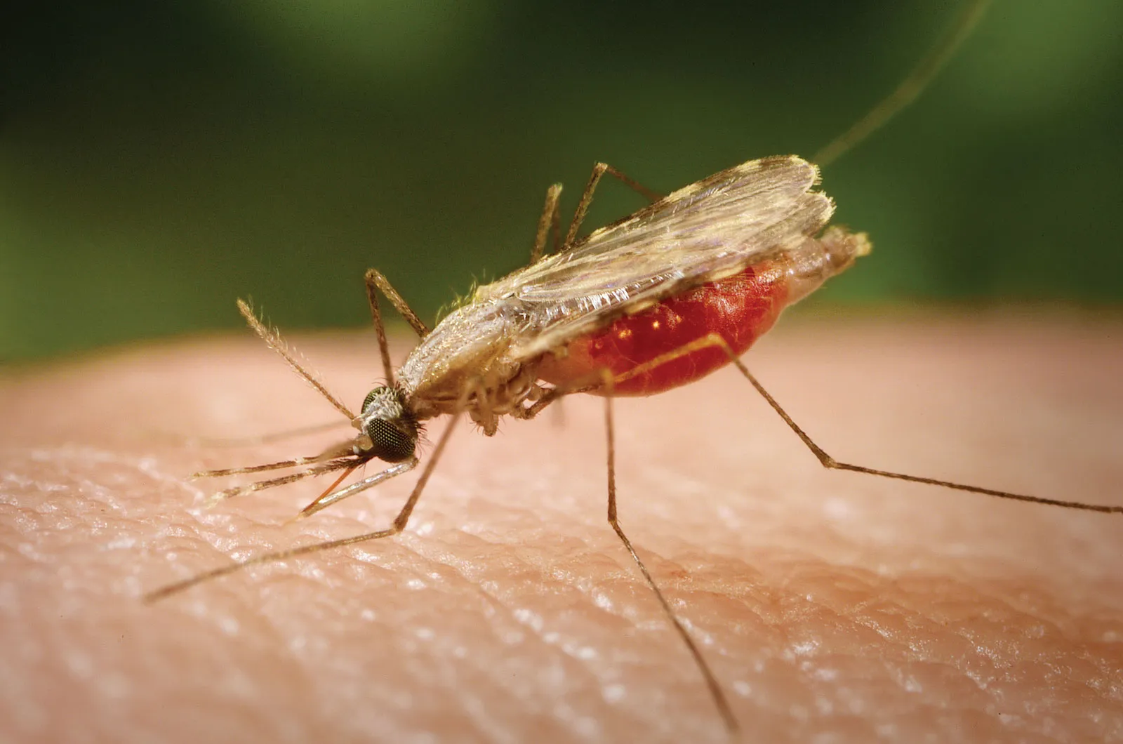 Los líderes africanos se comprometen a cerrar la brecha de financiación contra la malaria en medio de la incertidumbre sobre la ayuda exterior