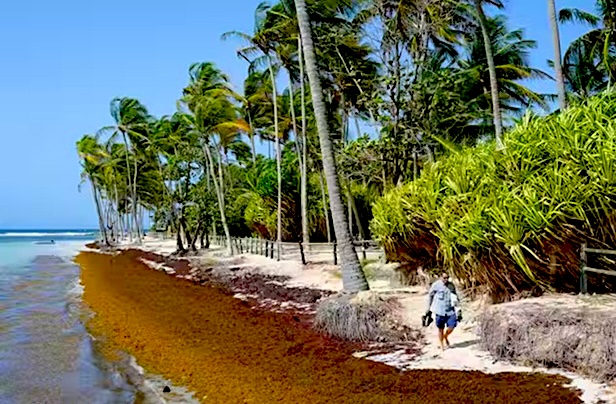 Изменение глобального ландшафта здравоохранения влияет на Карибский бассейн