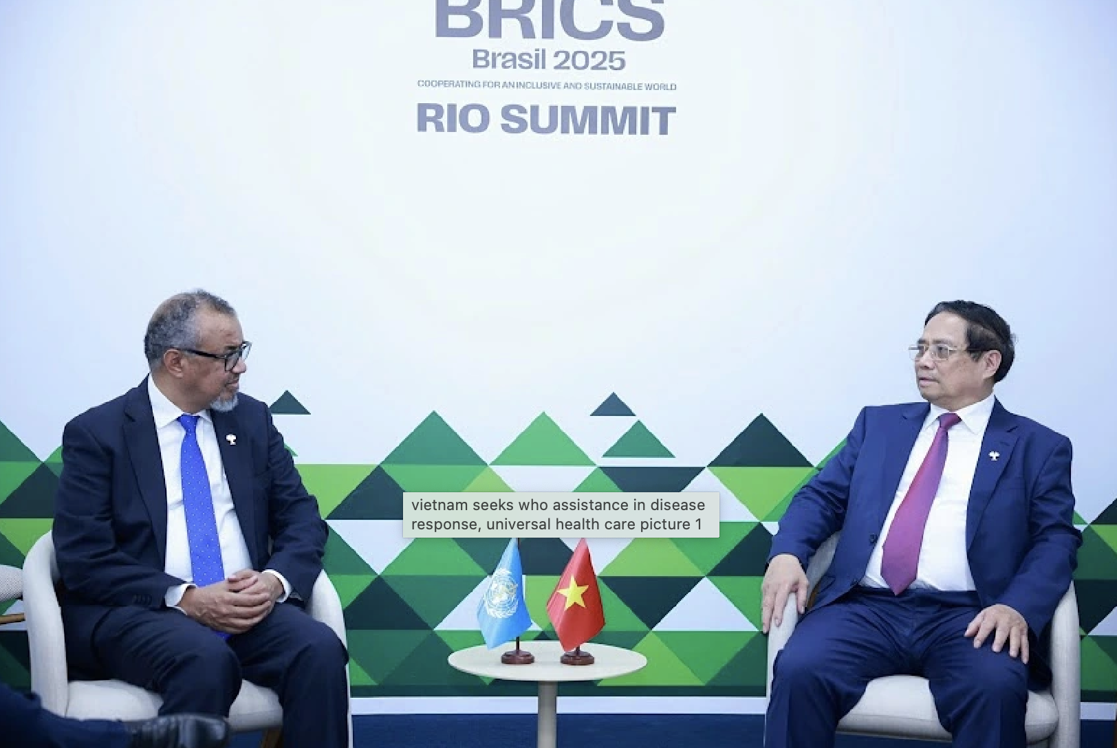 Vietnam solicita la ayuda de la OMS en la respuesta a las enfermedades y la atención sanitaria universal