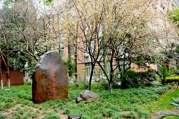 P4H academic group to convene in Shanghai, China, in October