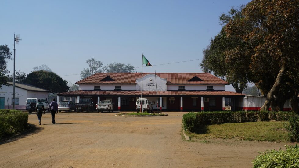 Africa after USAID: who will pay the health bill?