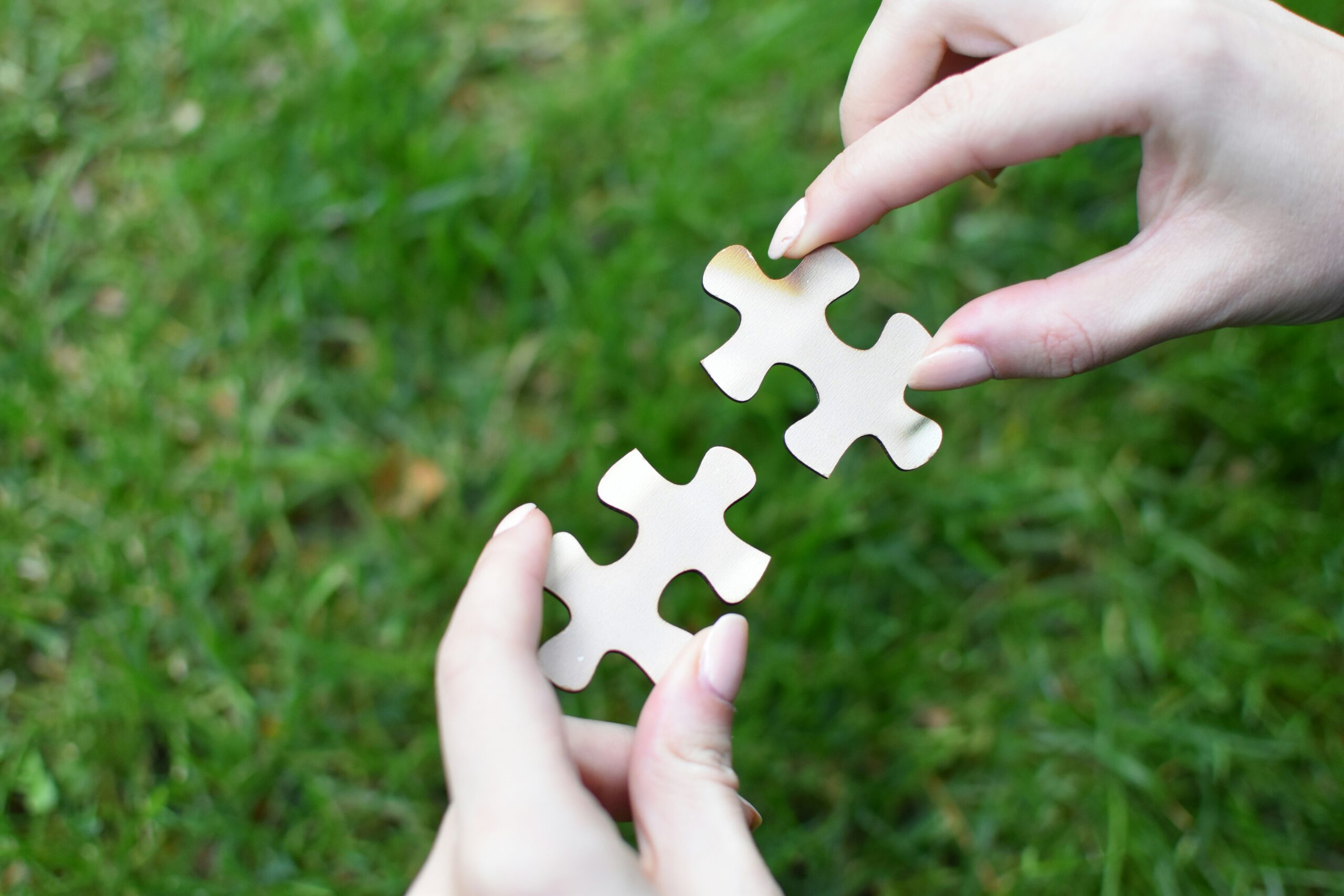Bridging the Health Finance Gap in India: A Call for an IRDAI-RBI Affordability Pact